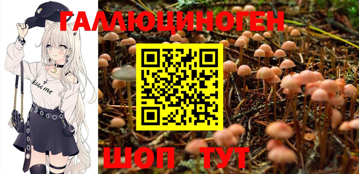 Псилоцибиновые грибы Cubensis Шали