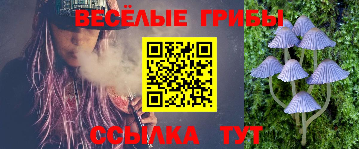 Шали  Галлюциногенные грибы прущие грибы  Вход с VPN 